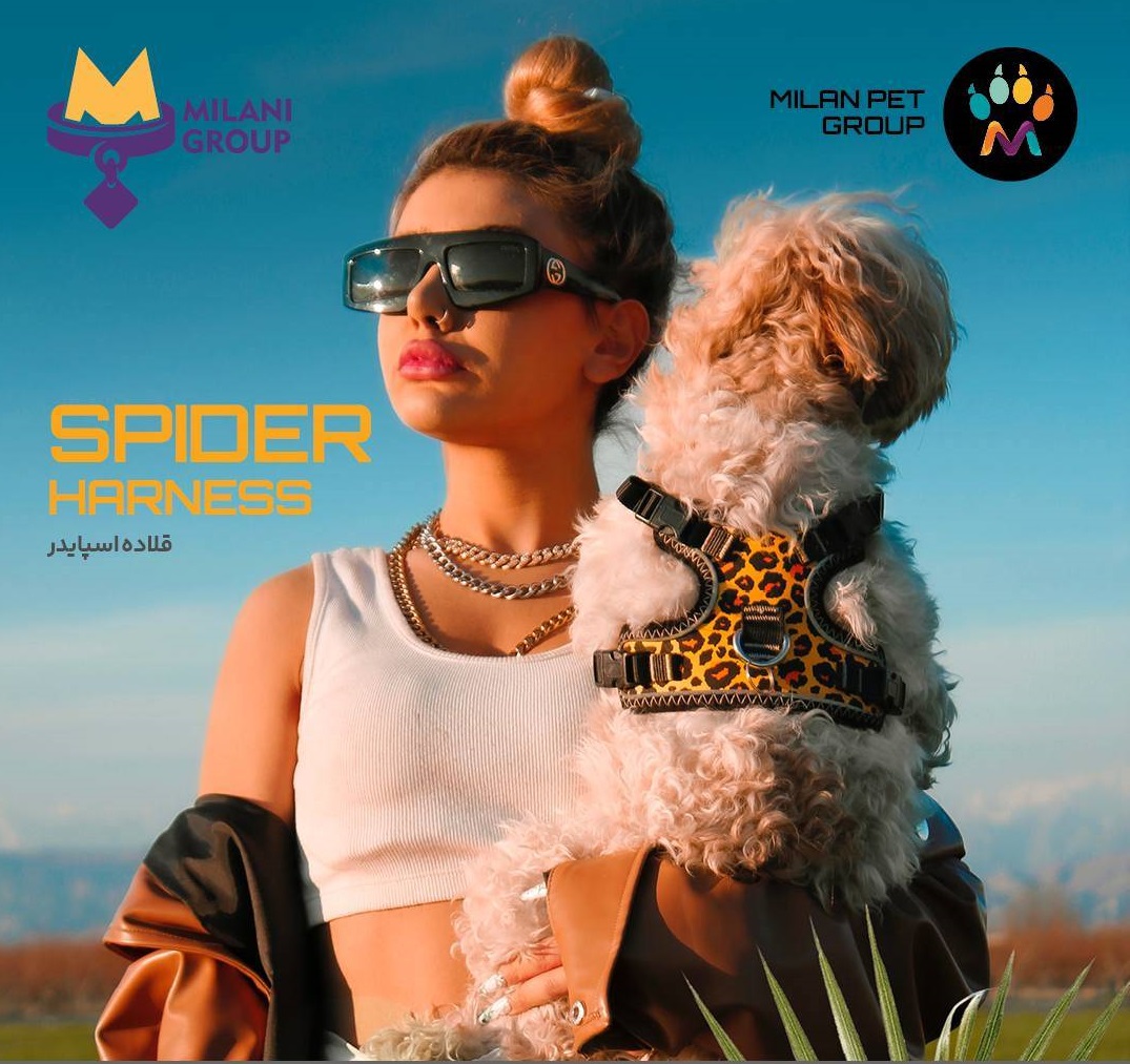 > قلاده کتفی سگ میلان پت مدل اسپایدر Milanpet